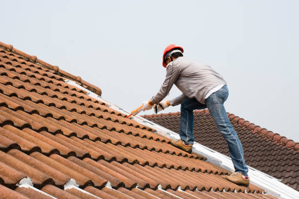Professional Roofing services in Zebulon, GA